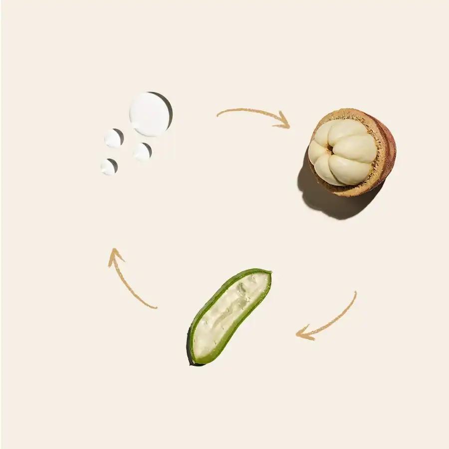 روغن برانز سول دژنیرو